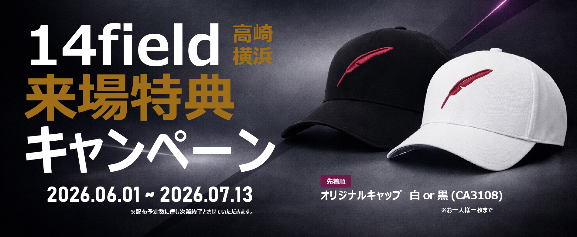 14_filed_takasaki